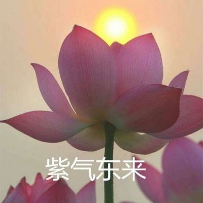 滔天传说九游版下载